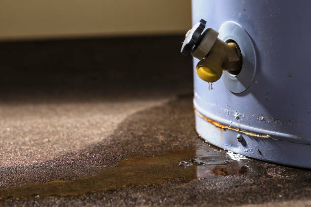 Best Sewage cleanup and water damage restoration  in Tangent, OR